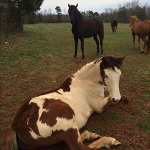 Meet your Posher, Kimberly